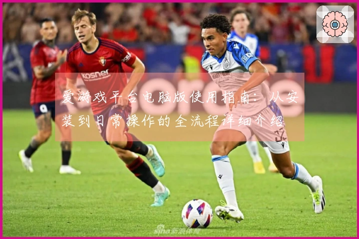 爱游戏平台电脑版使用指南：从安装到日常操作的全流程详细介绍